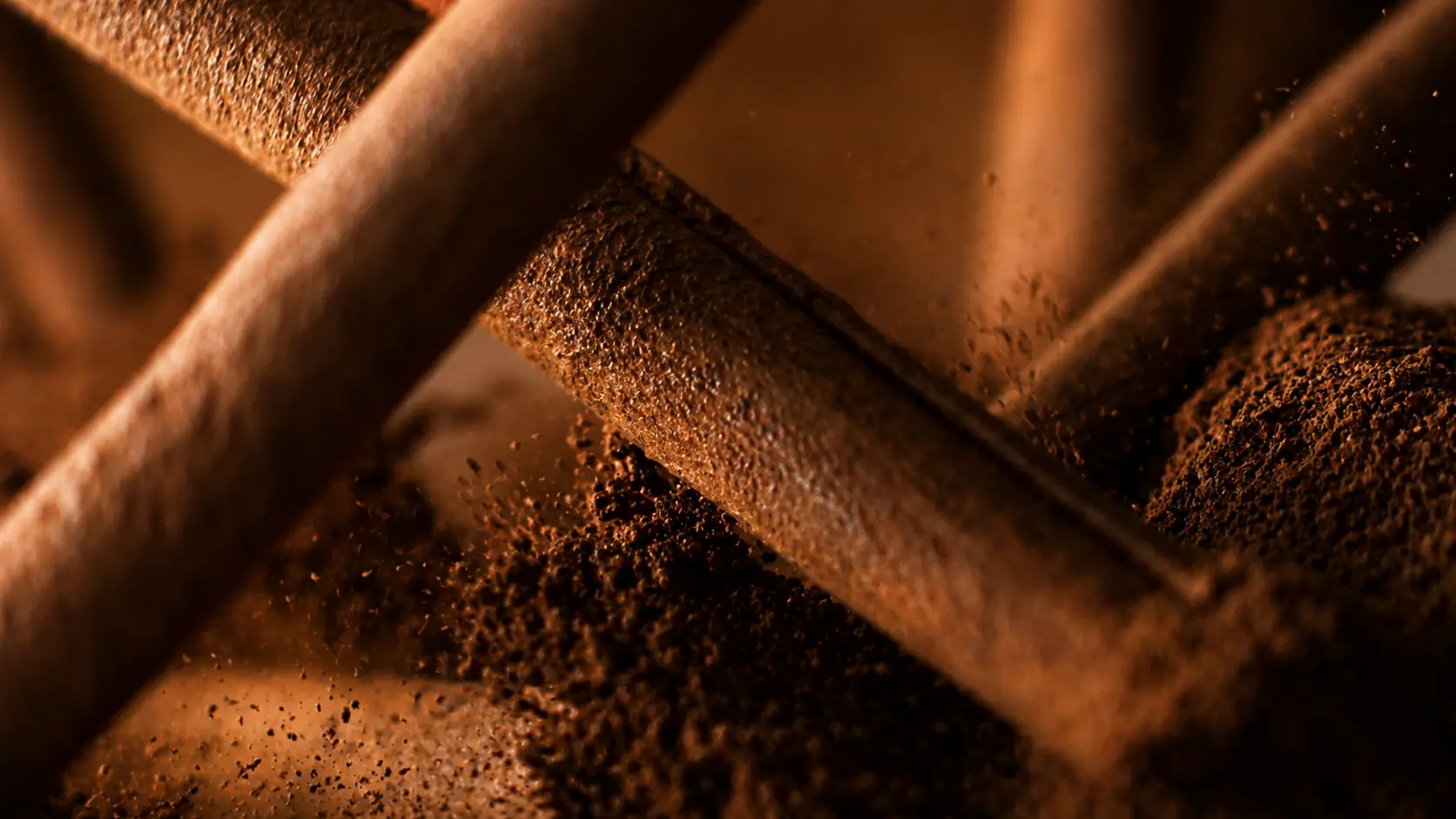 Macro of cinnamon quills and ground spice under warm directional light