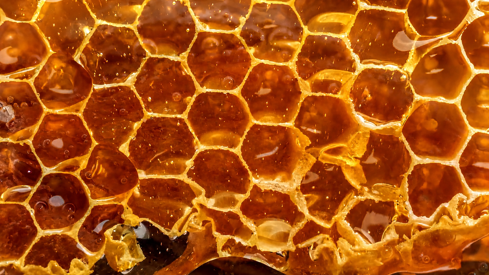 Ambre Mielle by Graham & Pott: Luxury Fragrance Film, Honeycomb macro: the fragrance made tactile